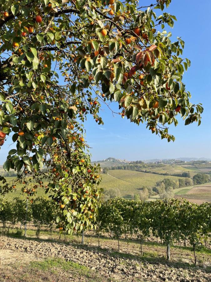 Appartamento Locazione Turistica Cascina Pela Castagnole delle Lanze Esterno foto