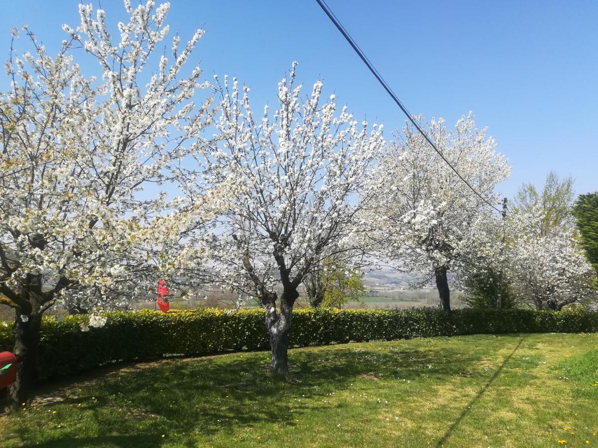 Appartamento Locazione Turistica Cascina Pela Castagnole delle Lanze Esterno foto